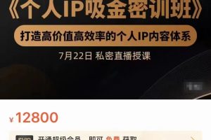 个人IP吸金密训班，打造高价值高效率的个人IP内容体系（价值12800元）